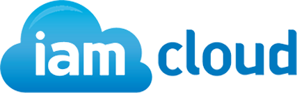 IAM Cloud